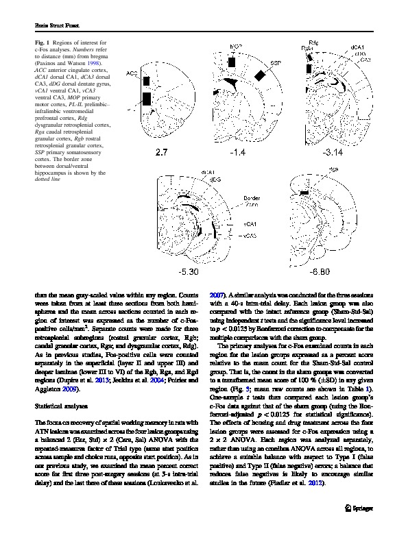 Download Impaired spatial working memory after anterior thalamic lesions: Recovery with cerebrolysin and enrichment.